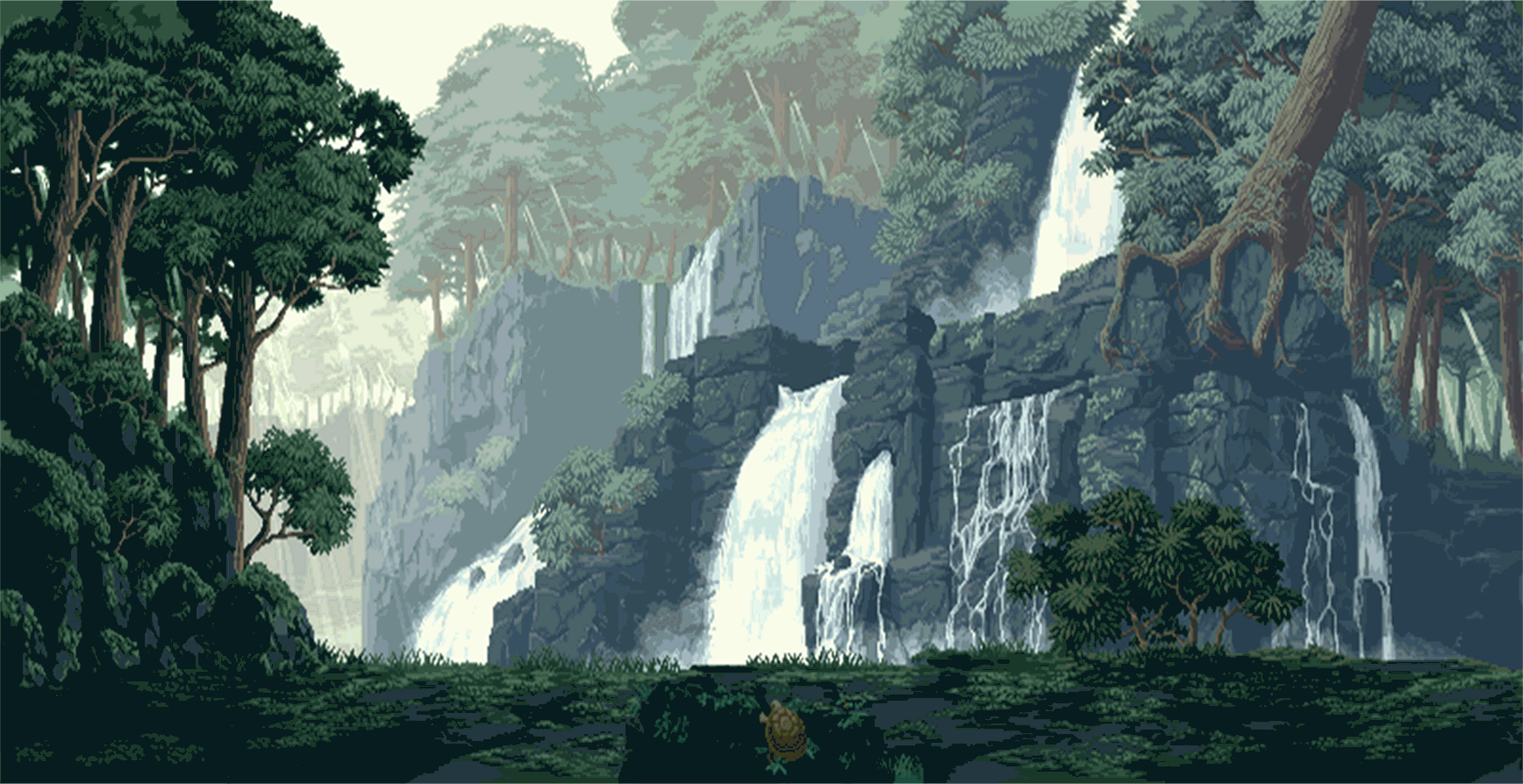 Forest background